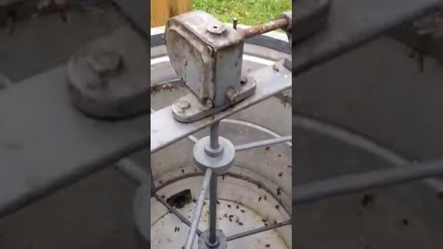 Обсушка медогонки пчелами смотреть онлайн