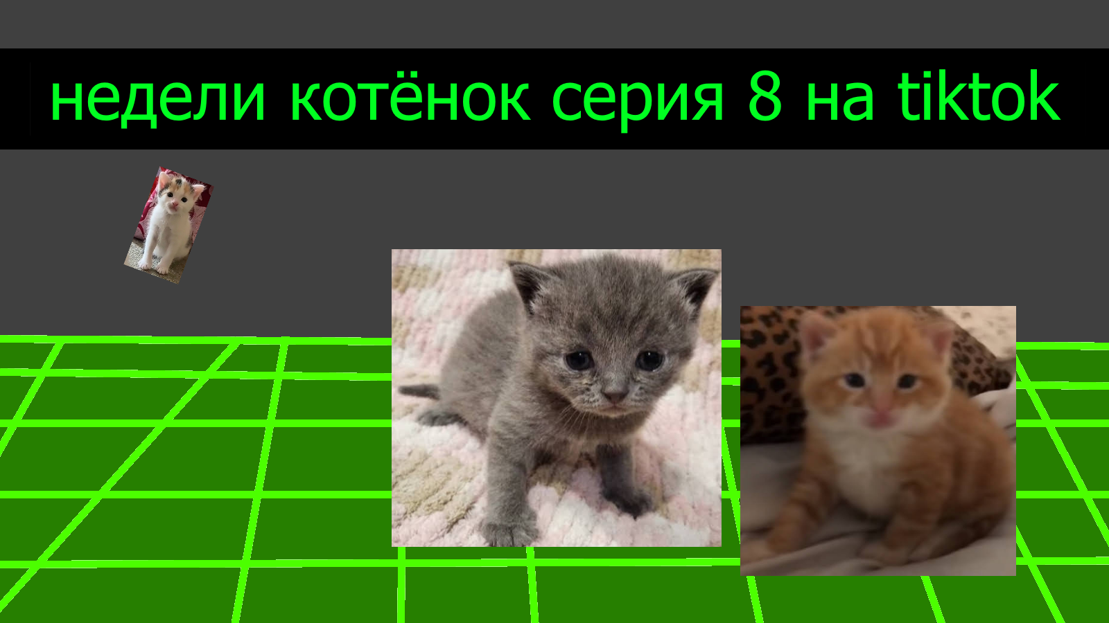 Недели котёнок серия 8 на tiktok смотреть онлайн