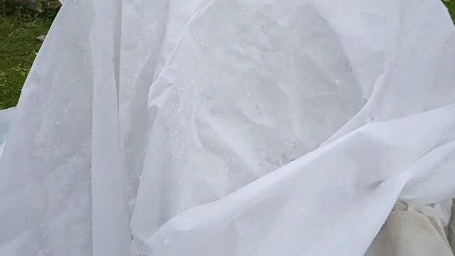 Укрытие роз. Как и чем? смотреть онлайн