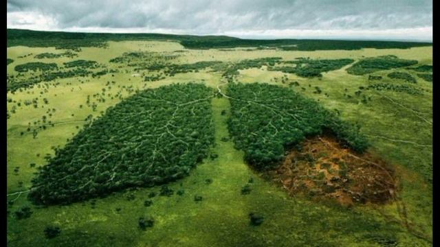 Зороастризм. Религия. Политика. Право. смотреть онлайн