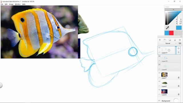 How to Draw Cartoons from Photo Reference | How to Draw Cartoon Fish смотреть онлайн