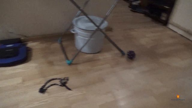 История одного пса. Часть 1. смотреть онлайн