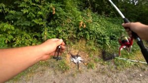 Рыбалка с ночевкой на Северском Донце.Фидер и донки.Карпик,Карась,Голавль.Хорошый отдых.