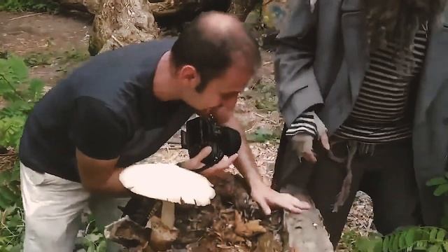 Это мой гриб (4К) смотреть онлайн