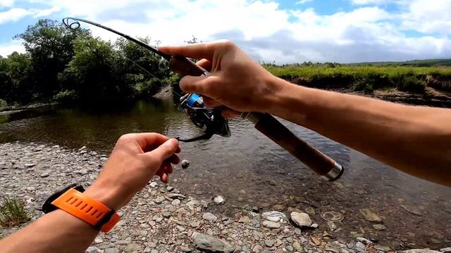 Рыболов на Реке