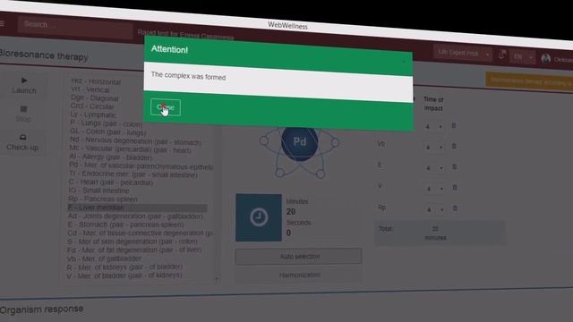 Overview of the program WebWellness (interface) in English. смотреть онлайн