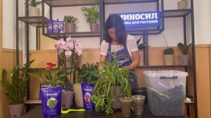 Как подготовить почву для комнатных растений с гранулами АМИНОСИЛ - делится о новинке Дарья Ермилов