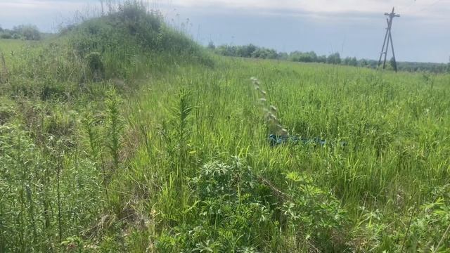 Практическое пособие по добыванию мяса в диких условиях#1[ что бы ты делал(ла) без меня?! смотреть онлайн