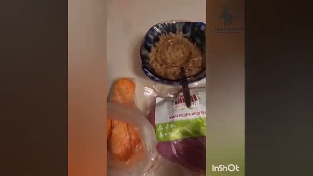 Видотипичное питание бурманских кошек смотреть онлайн