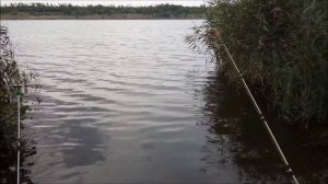 Рыбалка на Донки.Ошибка многих рыбаков при монтаже донной оснастки.Почему ловлю на леску 0,50 мм.