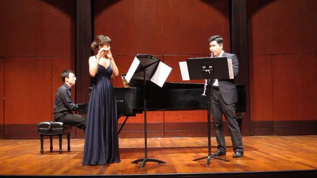 "Night Flight" for piccolo, clarinet, and piano by Howard J. Buss смотреть онлайн