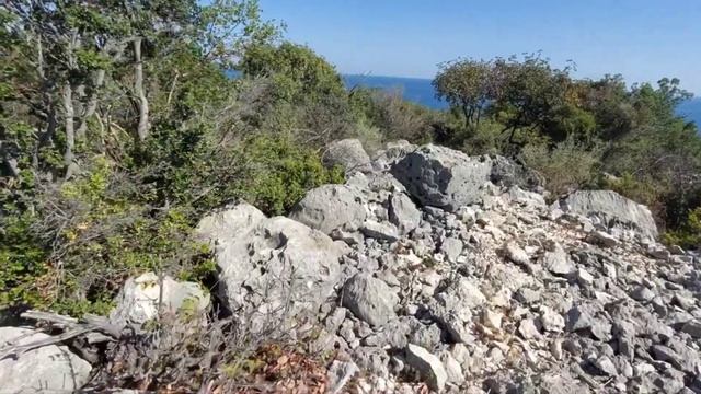 ?‼️Забытый мегалитический комплекс с полигональной кладкой‼️Нет на картах, демонстрируется впервые‼ смотреть онлайн