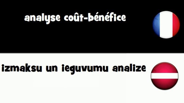 VOCABULAIRE EN 20 LANGUES = analyse coût-bénéfice смотреть онлайн