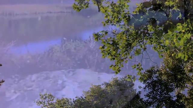 Inger Nilsson, Om jag var en fågel смотреть онлайн