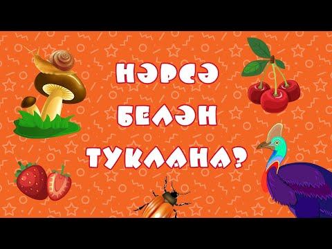 БӘБИ СҮЗ: нәрсә белән туклана? / Австралия хайваннары / Животные Австралии / Animals of Australia смотреть онлайн