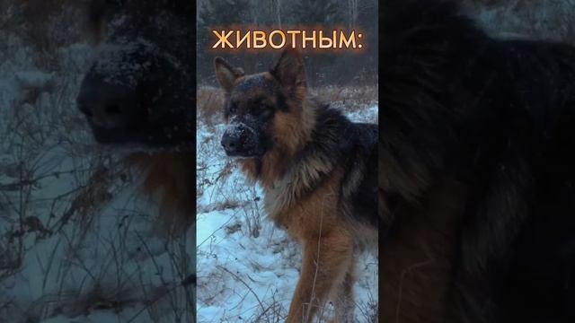 если бы я была... #тренд #художник #стерлитамак #фиолетовый #ромашка #лето #shorts #trend смотреть онлайн