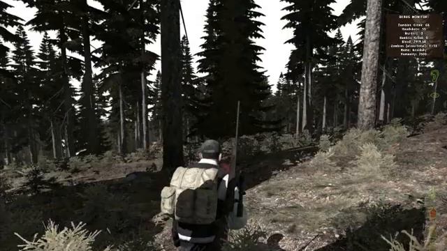 Tips for DayZ: Fix Bleeding Bug смотреть онлайн
