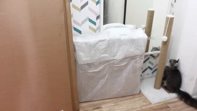 Необычное использование для хранения обычных вещей смотреть онлайн