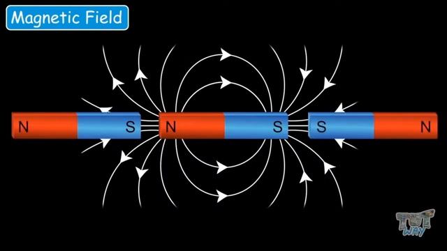 Magnet & Magnetism: Educational Videos For Kids | Tutway смотреть онлайн