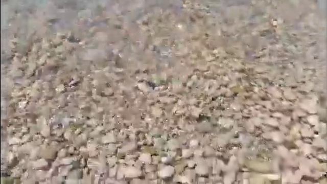 Самое чистое море в Крыму. Кастрополь.Парковое. смотреть онлайн