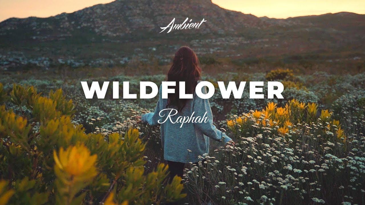 Raphah - Wildflower [relaxing Piano Ambient]