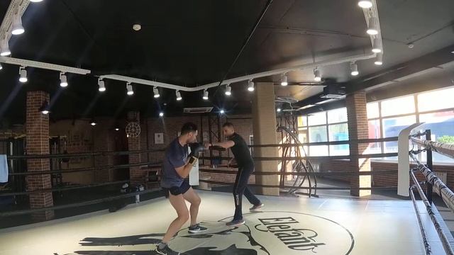 Бокс. Персональная тренировка. клуб Элефант. Тимофеев Н. тренер Березкин 1 смотреть онлайн