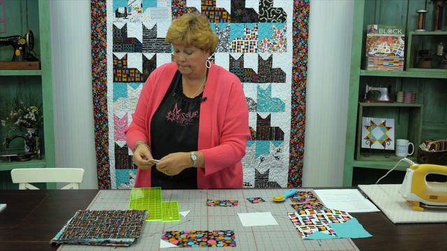 Make an Easy Pins & Paws Quilt with Jenny Doan of Missouri Star (Video Tutorial) смотреть онлайн
