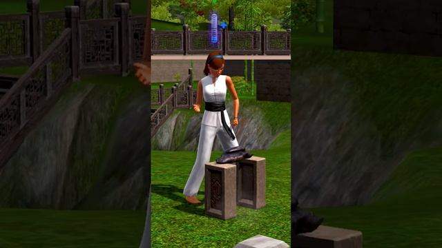 Вы пробовали развивать навык БОЕВЫХ ИСКУССТВ в The Sims 3? #shorts #sims #sims3 #thesims3 #симс3 смотреть онлайн