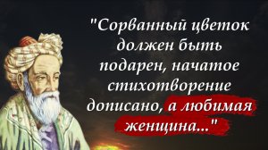 ? Мудрейшие цитаты Омара Хайяма | Цитаты, афоризмы, мудрые слова