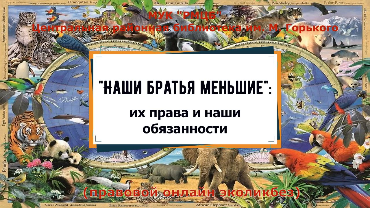 Наши братья меньшие: их права и наши обязанности смотреть онлайн