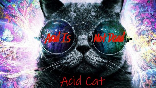 Acid Is Not Dead - Acid Cat