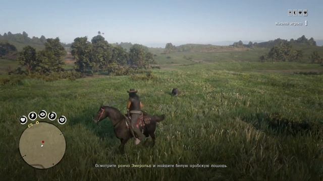 ИИ-врагов заарканено с лошади:0/5(обновлено)???