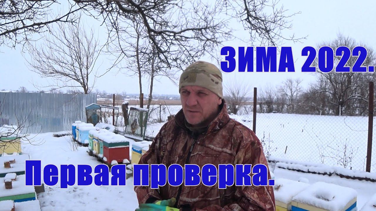 Зима,Первая проверка и подкормка смотреть онлайн