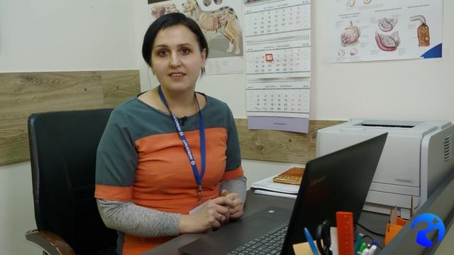 Специалисты ветеринарной клиники 