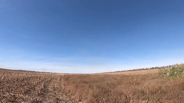 8 октября 2023 г. смотреть онлайн