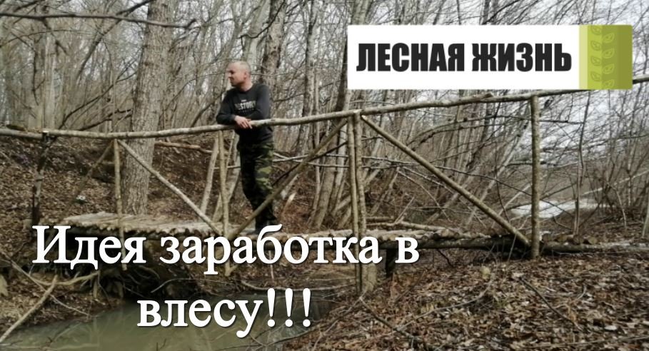 Как выжить в лесу