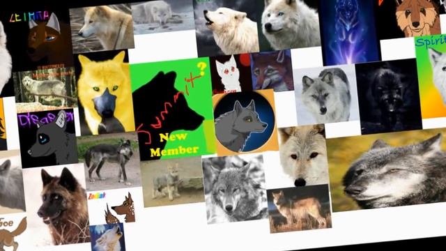 The African Stars Pack смотреть онлайн