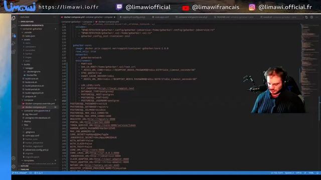 GoHarbor, Docker-compose en cours | Replay stream du 21 janvier 2021 смотреть онлайн