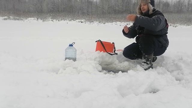 ЖОР РОТАНОВ ГИГАНТОВ! Я ПРОСТО ХОТЕЛ ПОЙМАТЬ ЖИВЦА, НО БОЛОТНЫЕ ЧУДОВИЩА НАЧАЛИ ЗАЖИГАТЬ!