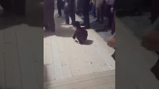 ЧЕЧЕНСКИЙ МАЛЬЧИК ДЕЛАЕТ ЗУЬКАР НЕ СМОТРЯ НА СВОЙ МАЛЫЙ ВОЗРАСТ ЭТОТ МАЛЬЧИК ПОЛЮБИЛ УСТАЗА ХЬАЬЖИ смотреть онлайн