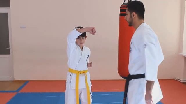 KWF Кекусин Армения Урок#8 Блок Джодан уке,Сото уке смотреть онлайн