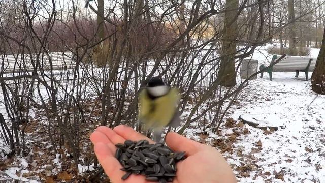 А снег идет... The snow continues to fall... смотреть онлайн