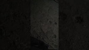 Почему скутер не заводится со стартера? Решение!