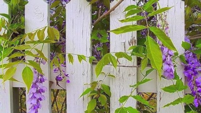 Ong Namo - Amrit Kirtan смотреть онлайн