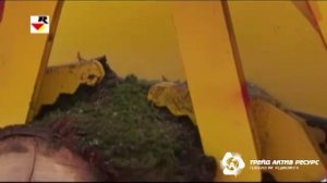 Автоматическая линия резки и колки дров XYLOG 700