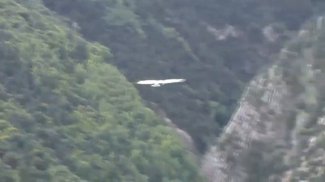 Внешне одно делается, а внутри происходит другое. Святитель Феофан Затворник смотреть онлайн