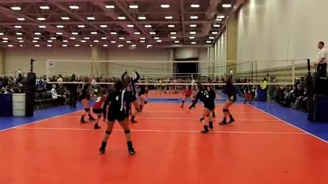 Maggie Roberts #2 Setter TAV 16's - 2 смотреть онлайн