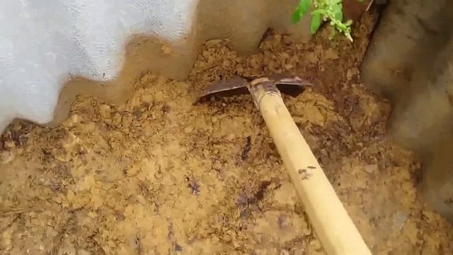 Подготовка к посадке вересковых/брусничных смотреть онлайн