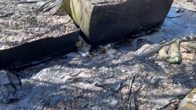 Мазут в Парголово смотреть онлайн