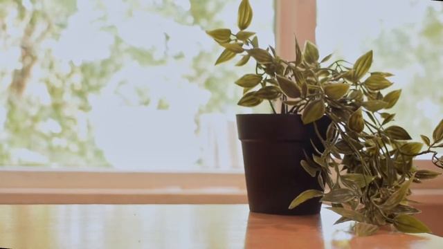 •vlog• живу одна? готовка? diy из бамбуковых палочек✨